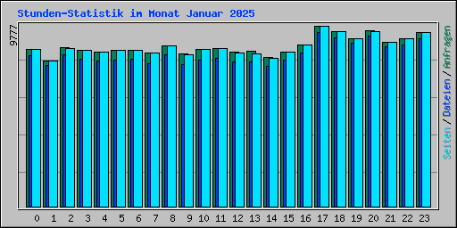 Stunden-Statistik im Monat Januar 2025