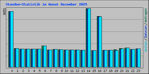 Stunden-Statistik im Monat Dezember 2025