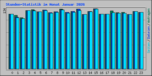 Stunden-Statistik im Monat Januar 2026